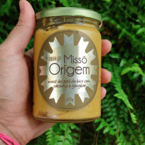 Missô Dourado de grão de bico com cúrcuma e gengibre