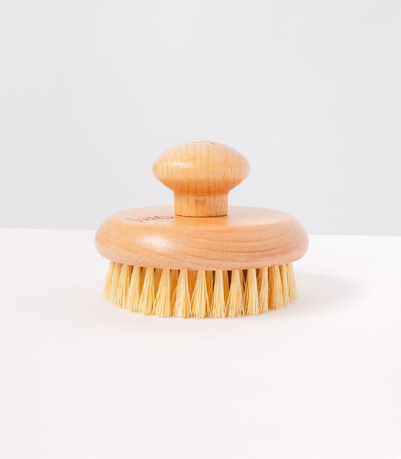 Escova Seca - Holistix